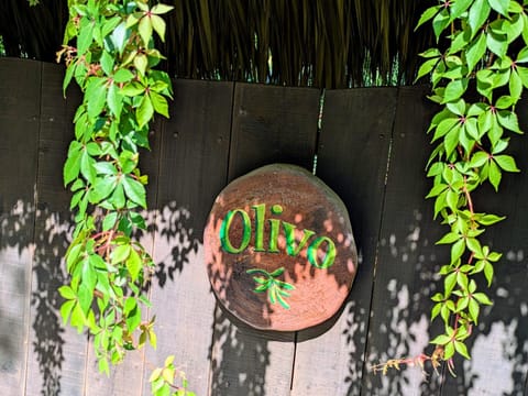 Posada Olivo Hotel in State of Oaxaca