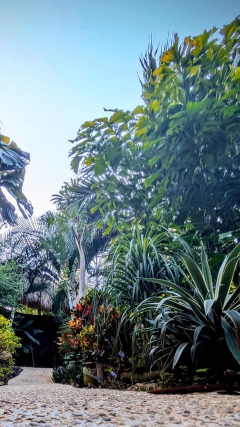 Posada Olivo Hotel in State of Oaxaca