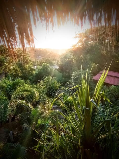 Garden view, Sunrise, Sunset