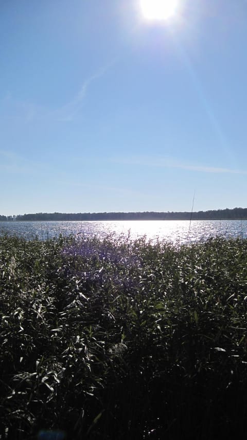 Day, Natural landscape