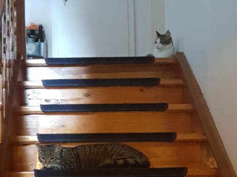 Landhaus Graßmann Bed and Breakfast in Bad Reichenhall