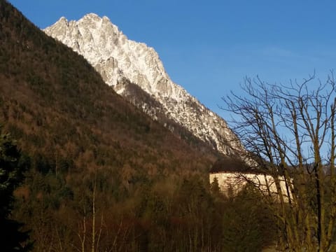 Landhaus Graßmann Bed and Breakfast in Bad Reichenhall