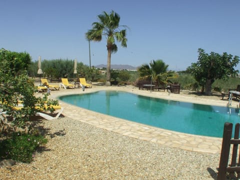 Seating area, Swimming pool, sunbed