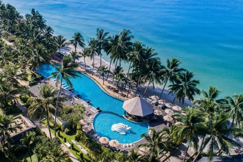 Bird's eye view, Pool view, Swimming pool