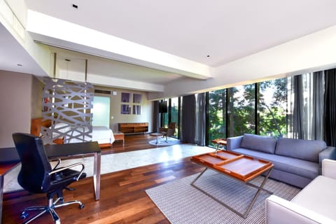 Photo of the whole room