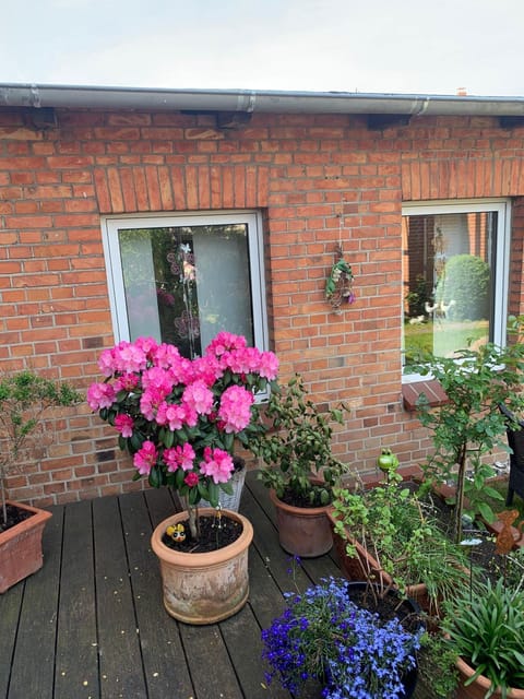 Ferienwohnung-in-Stadtmitte Apartment in Mecklenburgische Seenplatte