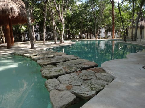 Area and facilities, Swimming pool