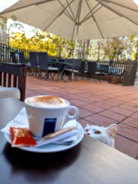 B&B Alex18 Bed and Breakfast in Serbia