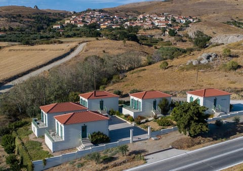 Neighbourhood, Bird's eye view, Street view
