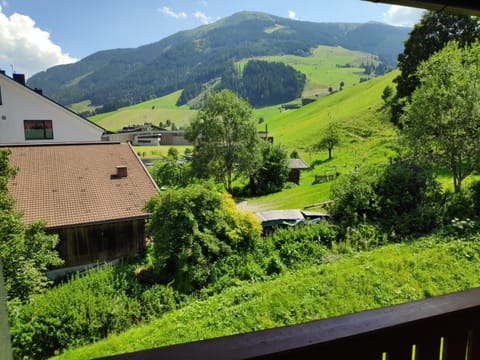 Two Bedroom Apartement Monika by Hermann Weiss Apartment in Salzburgerland