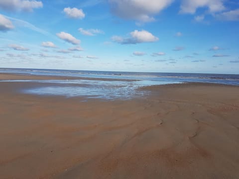 Hotel De Gouden Haan Hotel in De Haan