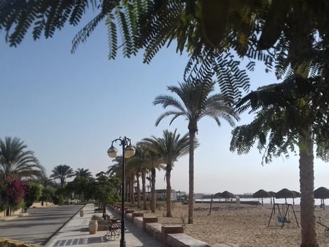 Day, Natural landscape, Seating area, Beach, Hiking, Cycling, On site, Sea view, Street view, Area and facilities, Non alcoholic drinks