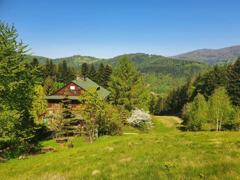 Property building, Neighbourhood, Natural landscape, Garden, Mountain view