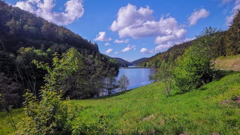 Natural landscape, Cycling, Cycling, River view