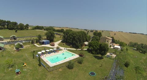 Garden, On site, Swimming pool