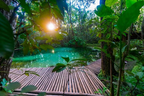 Pool view