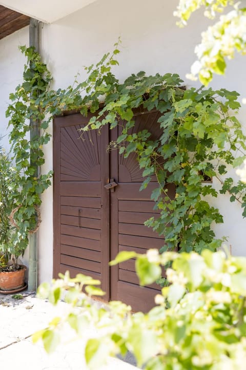 Property building, Patio