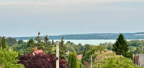 Lake view