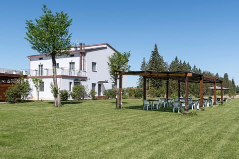 Patio, Garden, Garden view