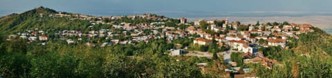 Day, Neighbourhood, Natural landscape, Bird's eye view, City view