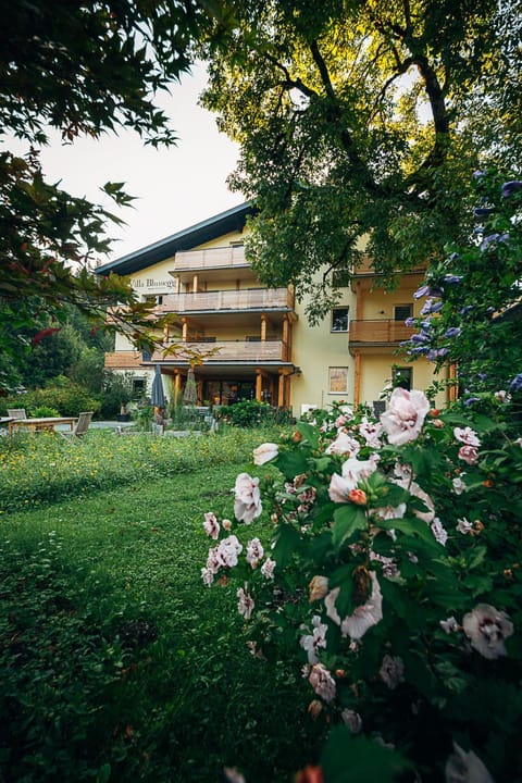 Property building, Garden view