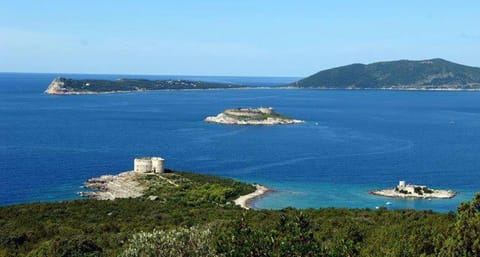 Natural landscape