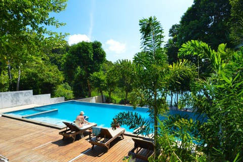 Garden, Pool view, Swimming pool, sunbed