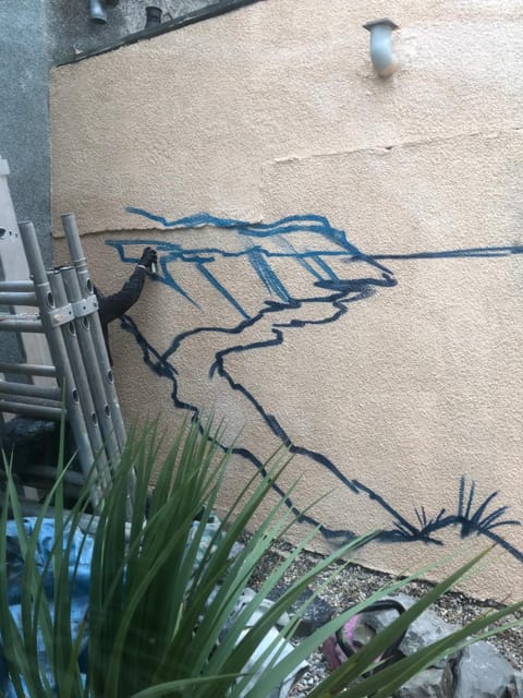 Mulberry House Bed and Breakfast in Llandudno