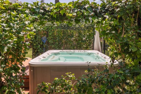 Hot Tub, Spa and wellness centre/facilities