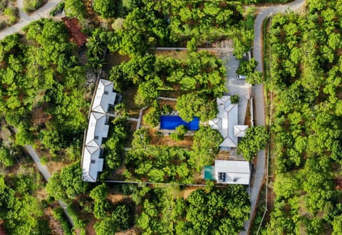 Property building, Bird's eye view