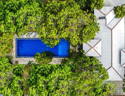 Natural landscape, Bird's eye view, Pool view, Swimming pool