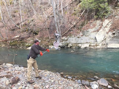 A B&B at Llewellyn Lodge Bed and Breakfast in Lexington