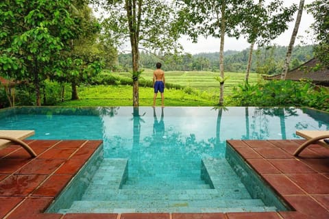 Natural landscape, View (from property/room), Pool view, Swimming pool