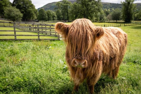 The Old Manse of Blair, Boutique Hotel & Michelin Restaurant Country House in Scotland