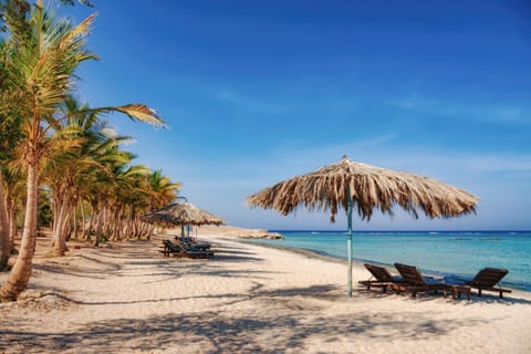 Day, Natural landscape, Beach, Beach, Sea view, Time of day, sunbed