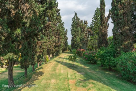Hotel El Cristo Hotel in Cholula