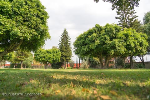 Hotel El Cristo Hotel in Cholula