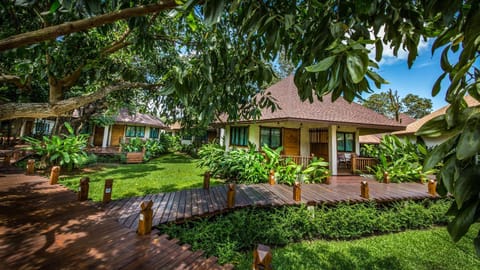 Property building, Other, Garden view