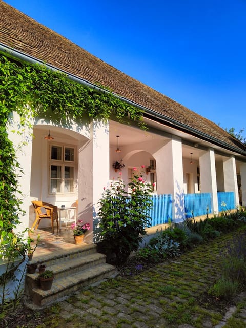 Property building, Summer, Garden view
