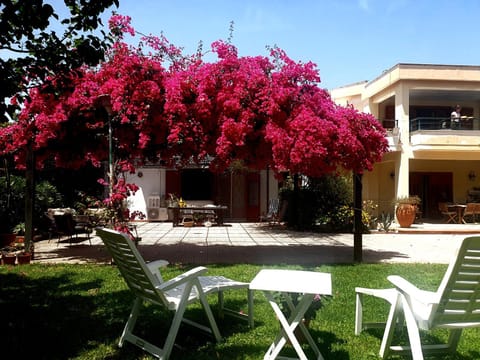 Property building, Garden view