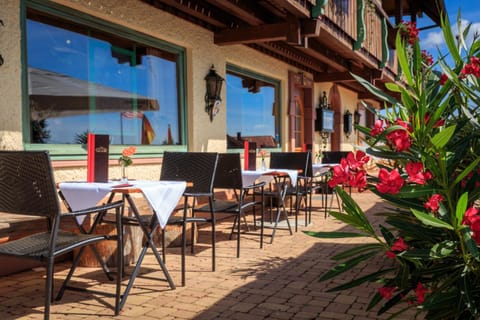 Restaurant/places to eat, Other