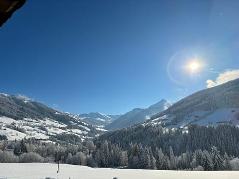 Haus Schmetterling Apartment in Alpbach