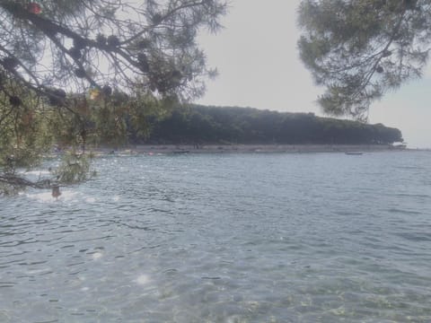 Apartman Adrian I David Apartment in Šibenik-Knin County, Croatia