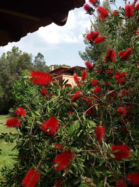 Spring, Day, Natural landscape, Garden, Garden view