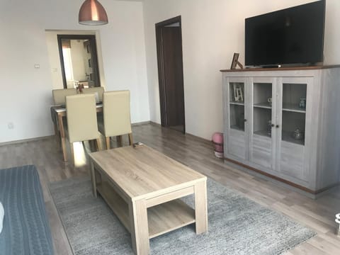 Joy Apartment Apartment in Timisoara