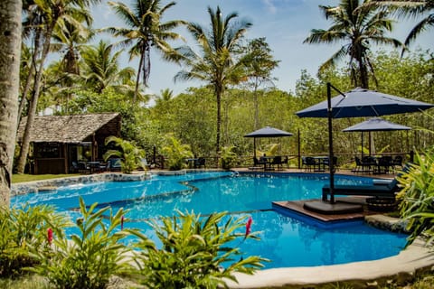 Day, Pool view, Swimming pool, Swimming pool