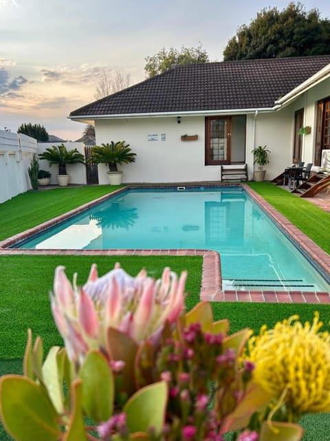 Pool view, Swimming pool, sunbed