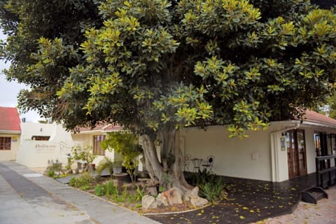 Property building, Garden, Garden view