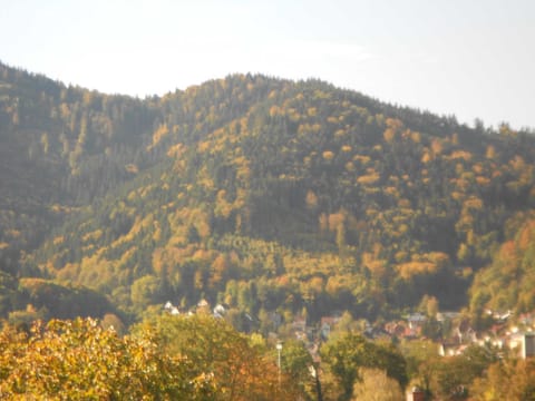 Natural landscape