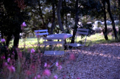 Garden, Balcony/Terrace